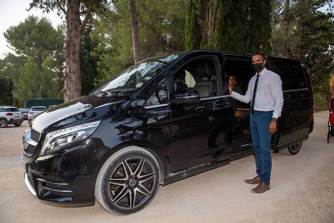 Half-Day Private Paris City Tour with Private Guide and Driver - Hotel Pickup and the Minivan Comfort Check