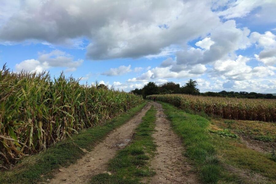 Hiking Adventure in Van Gogh's footsteps (6 miles walk) - Key moments that make this Van Gogh hike work