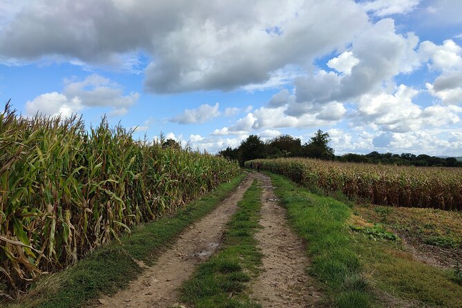 Hiking Adventure in Van Gogh's Footsteps with 6 miles walk - Cimetiere Auvers-sur-Oise: his final resting place