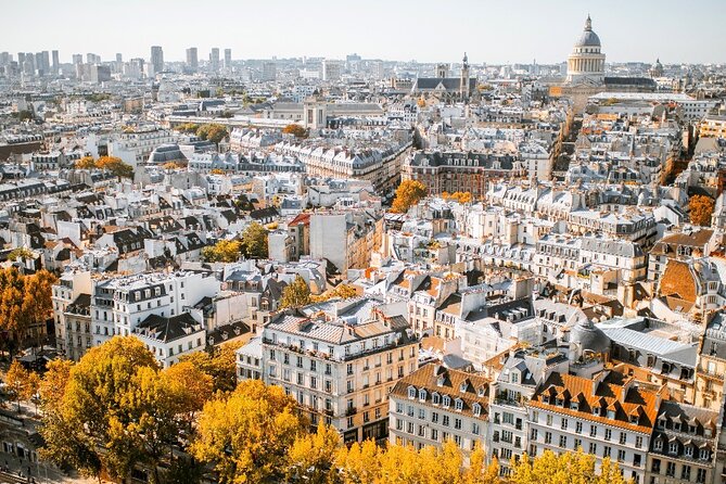 Historic Heart of Paris: Île de la Cité Walking Tour - Palais de la Cité and Sainte-Chapelle’s stained-glass light