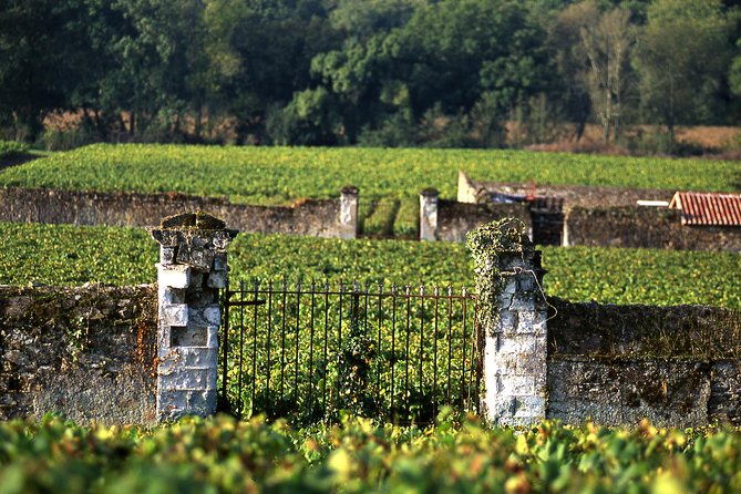 Incredible Loire castles tour with lunch and a vineyard visit - Price and Value: Is $334.32 a Good Deal?
