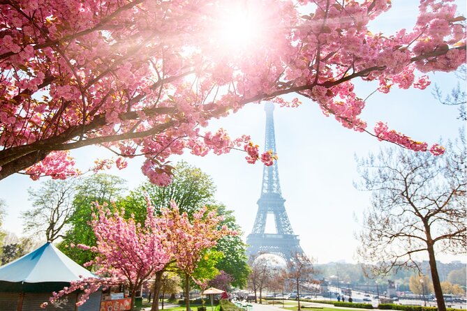 Live, Laugh, Love Along the Seine: Self-Guided Romantic Tour - Stop-by-stop: what to expect at each location