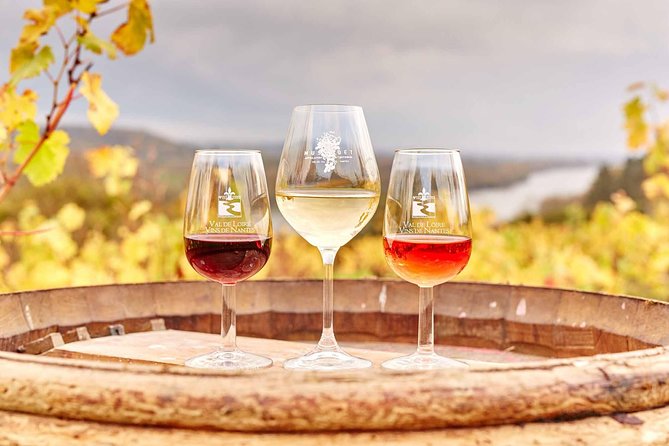 Loire Valley 2 Days private tour all inclusive from Paris with train tickets - Quick highlights that matter before you book