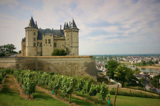 Loire Valley Castles and Wineries Private VIP Day Trip with Lunch - Key things you should notice before you go