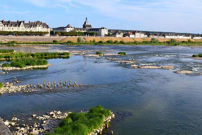 Loire Valley Castles and Wineries Private VIP Day Trip with Lunch - Winery visit, cold cellars, and a tasting across Loire styles