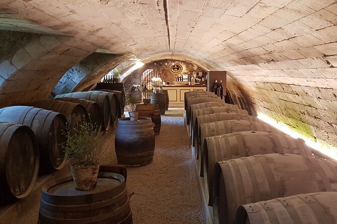 Loire Valley Castles Private Tour From Paris/skip-the-line ticket - The pacing: how a 12-hour day stays enjoyable