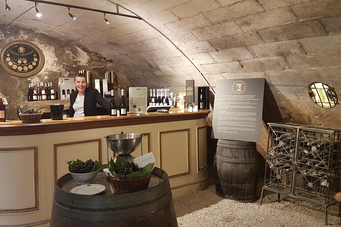 Loire Valley Castles Private Tour From Paris/skip-the-line ticket - Price and logistics: is $1,024.62 per person a smart use of money?