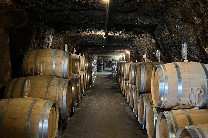 Loire Valley Chambord Castle and Wine Tasting from Paris - Family-Run Winery Tour and Tasting, Including Sparkling