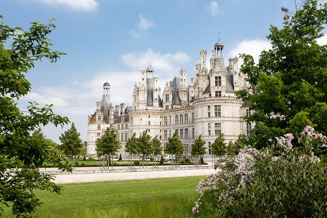 Loire Valley Wines and Castle Small Group Day Trip from Paris - The Real Secret Sauce: How Guides Turn Wine Into Stories