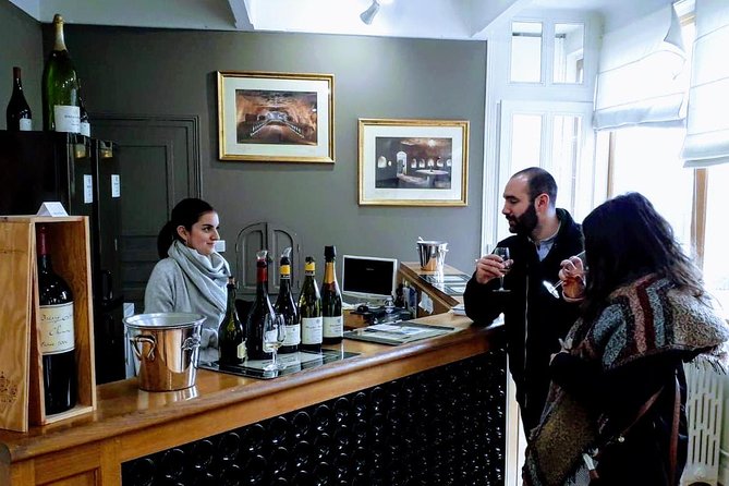 Loire Valley Wines and Castle Small Group Day Trip from Paris - Who This Tour Suits Best (And Who Might Prefer Another Plan)
