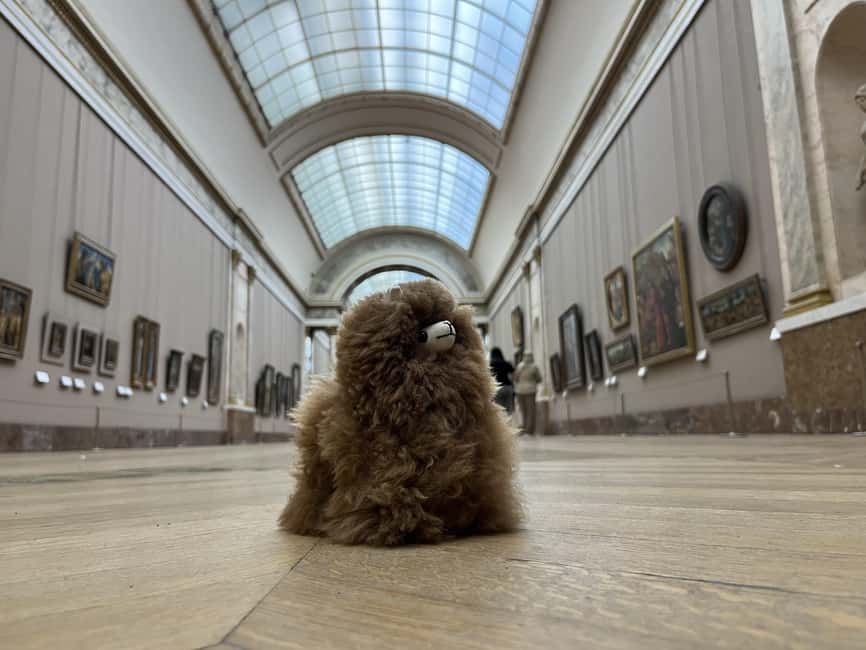 Louvre Museum Entry Ticket and Private Guided Tour - Meeting up by Palais Royal and finding Mr. Lama Leonardo