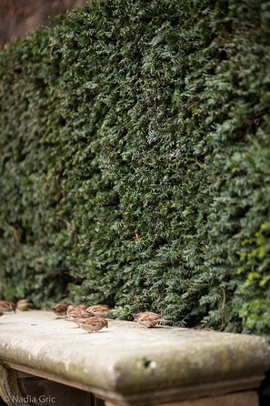 Marais semi private walking tour - Who this tour fits best