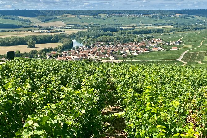 Moet et Chandon Pommery Pressoria Champagne Private trip - A long Champagne day that starts with comfortable pickup