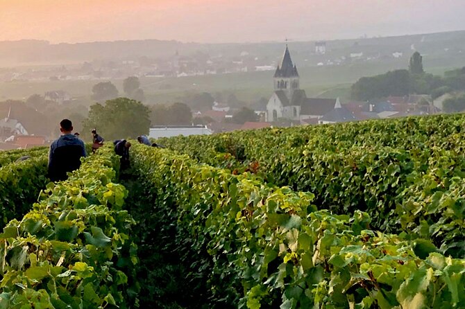 Moet et Chandon Pommery Pressoria Champagne Private trip - Reims Cathedral: the crown-on-the-map moment