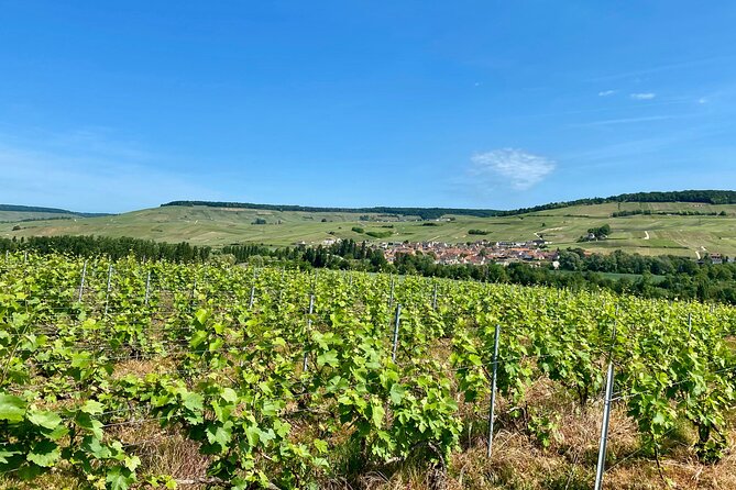 Moet et Chandon Veuve Clicquot Private Champagne trip from Paris - Reims Cathedral: Where the Crown Moments Happen