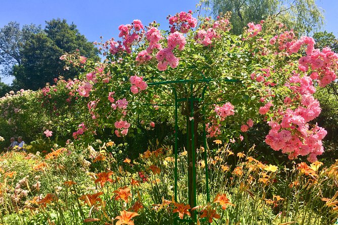 Monet's Gardens & House-Private Giverny Tour From Paris - Timing Tips: Go Early, and Use the Weather Like a Cheat Code