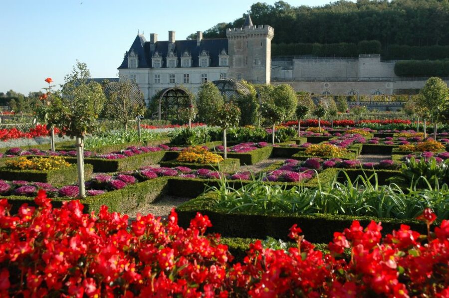 Mont Saint-Michel & Chateaux Country 3-Day Tour from Paris - What the guided visits feel like, and why the guide matters
