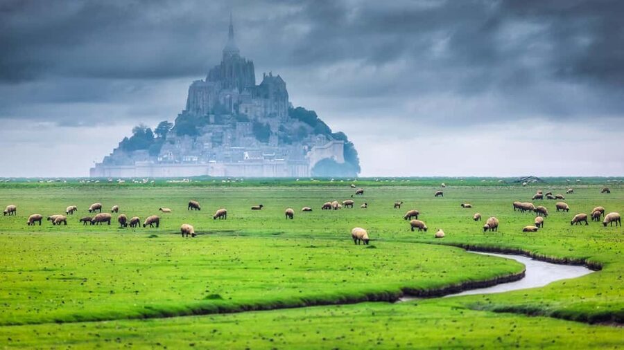 Mont Saint-Michel Small-Group Day Trip from Paris with Abbey Ticket - The 4 Hours of Free Time: How to Eat, Shop, and Walk Without Wasting It