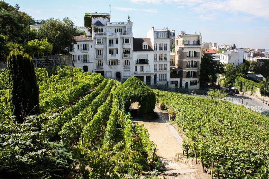 Montmartre: Private Treasure Hunt for Families and Kids - What Your Kids Actually Get: Booklets, Rewards, and a Family-Friendly Pace