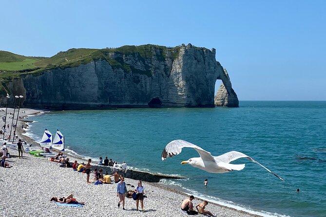Normandy Rouen, Honfleur, Etretat Small group Day Trip from Paris - Key highlights worth the time