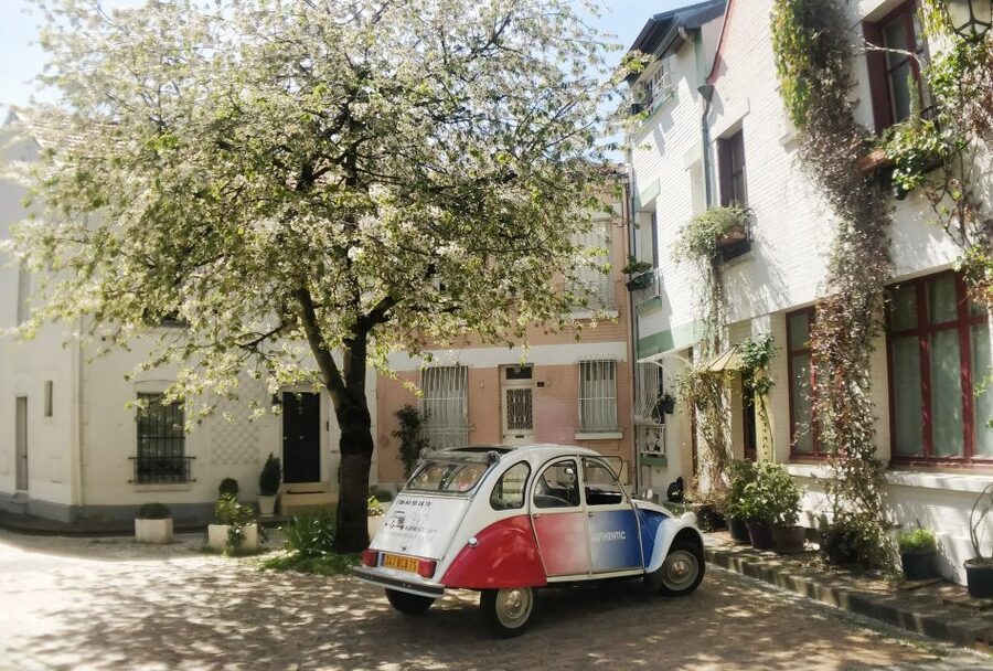 Off-the-Beaten Track in Paris: 2-Hour Vintage 2CV Tour - Place Dauphine and Institut du Monde Arabe, culture at the street level