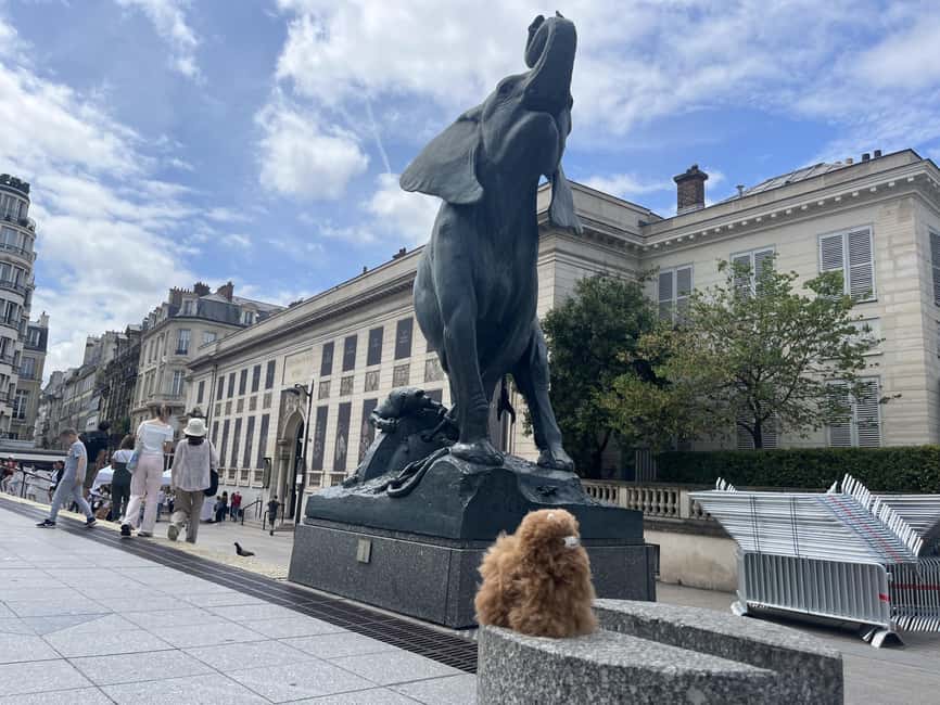Orsay Museum: Museum Ticket Entry & 2h Private Guided Tour - Meeting Mr. Llama at Orsay, and what happens at the front door