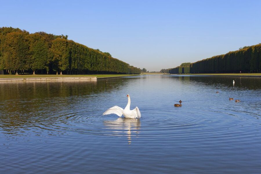 Palace of Versailles Guided Afternoon Tour from Paris - Who This Versailles Afternoon Tour Suits Best