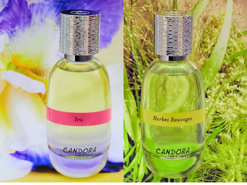 Paris: 2-Hour Perfume Creation Workshop - Why this perfume workshop near Ile Saint Louis feels different