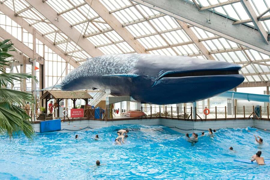 Paris: Aquaboulevard Water Park Entrance Ticket - How the Wave Pools and Outdoor Areas Change the Mood