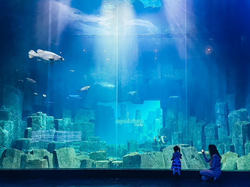 Paris: Aquarium de Paris Entrance Ticket - Aquarium de Paris at Trocadéro: getting your bearings fast