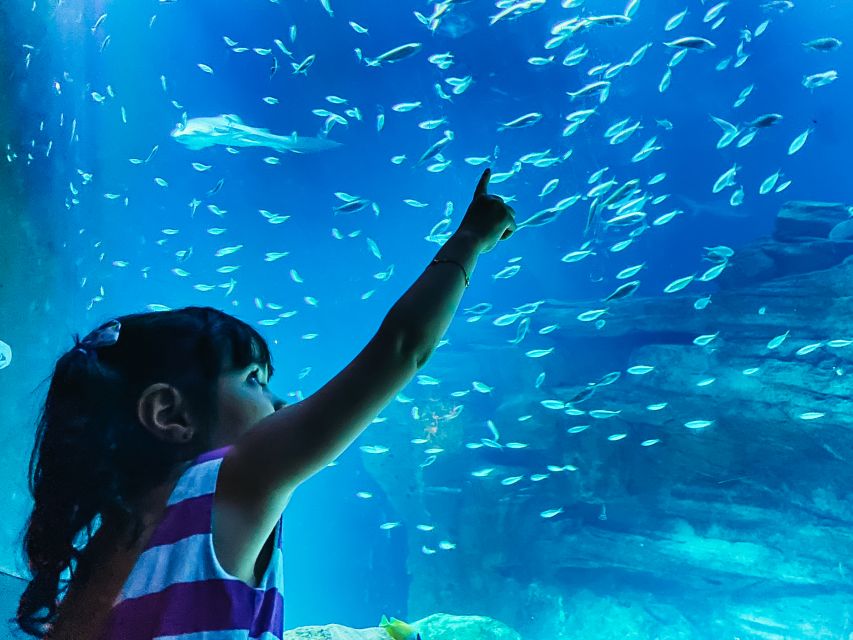 Paris: Aquarium de Paris Entrance Ticket - How the aquarium tour actually moves: tanks, tunnels, and quiet corners