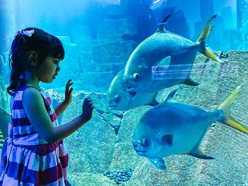 Paris: Aquarium de Paris Entrance Ticket - How long you should plan, and when it feels easiest