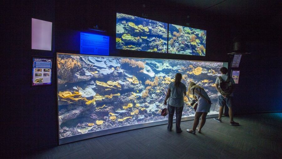 Paris: Aquarium de Paris Entrance Ticket - Price and value: is $25 per person fair for Paris?