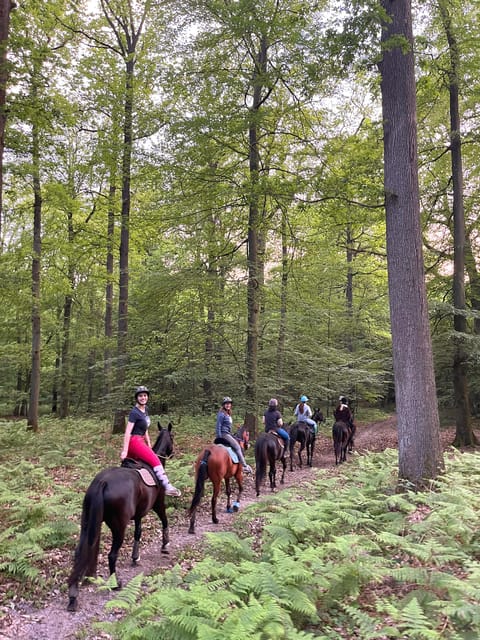 Paris: Aumont-en-Halatte Horseback Riding Tour - The ride itself: calm horses, a guided pace, and forest wildlife spotting