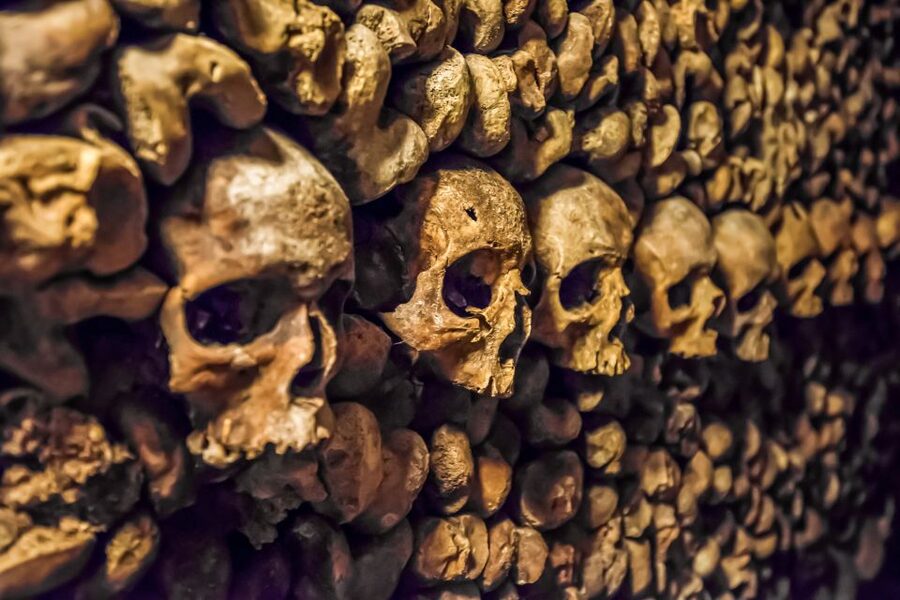 Paris: Catacombs Restricted Access Tour - Key things I’d plan around