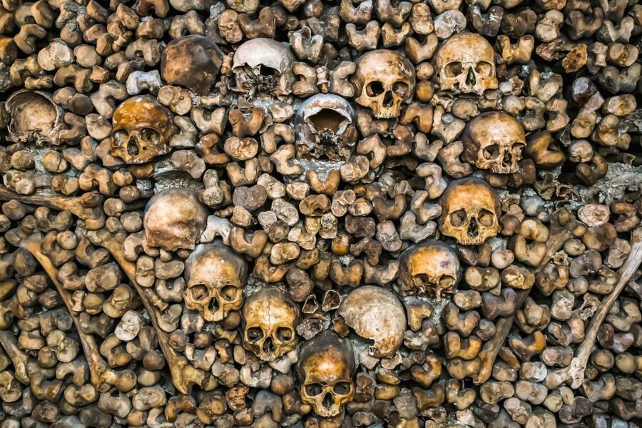 Paris: Catacombs Restricted Access Tour - Who should book this VIP Catacombs tour