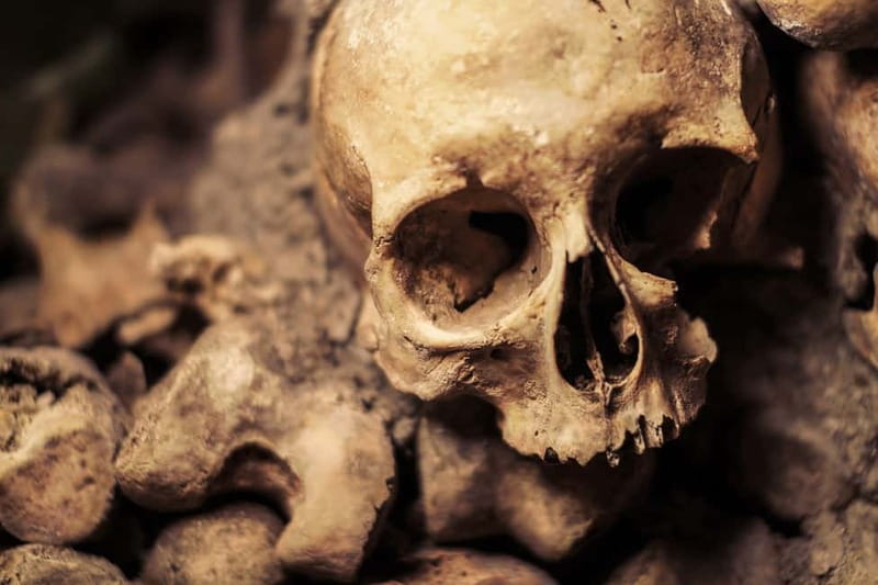 Paris: Catacombs Special Access Tour - Key points before you go