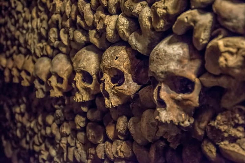Paris: Catacombs Special Access Tour - Fast-Track Entry That Actually Saves Time