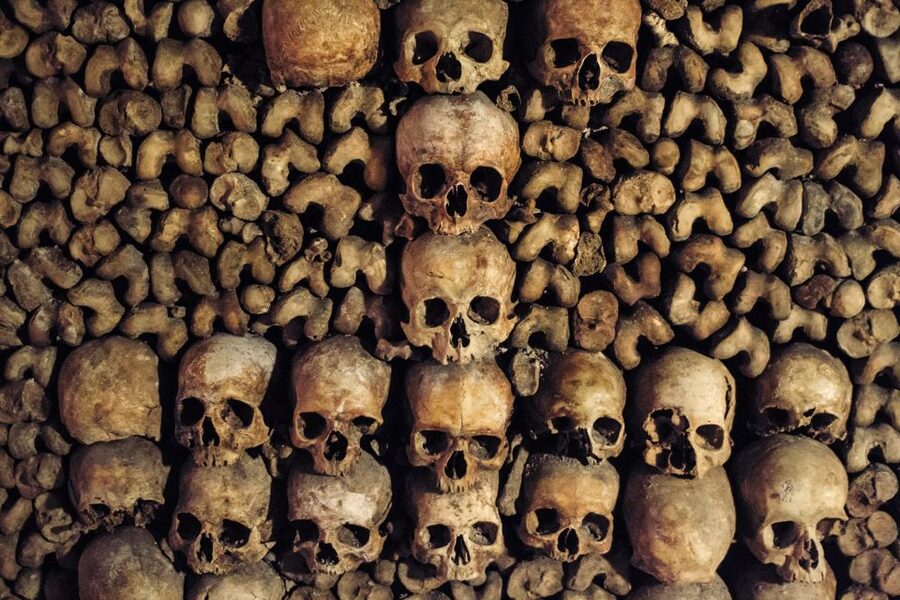 Paris: Catacombs Special Access Tour - Price and Value, Is $158 Worth It?