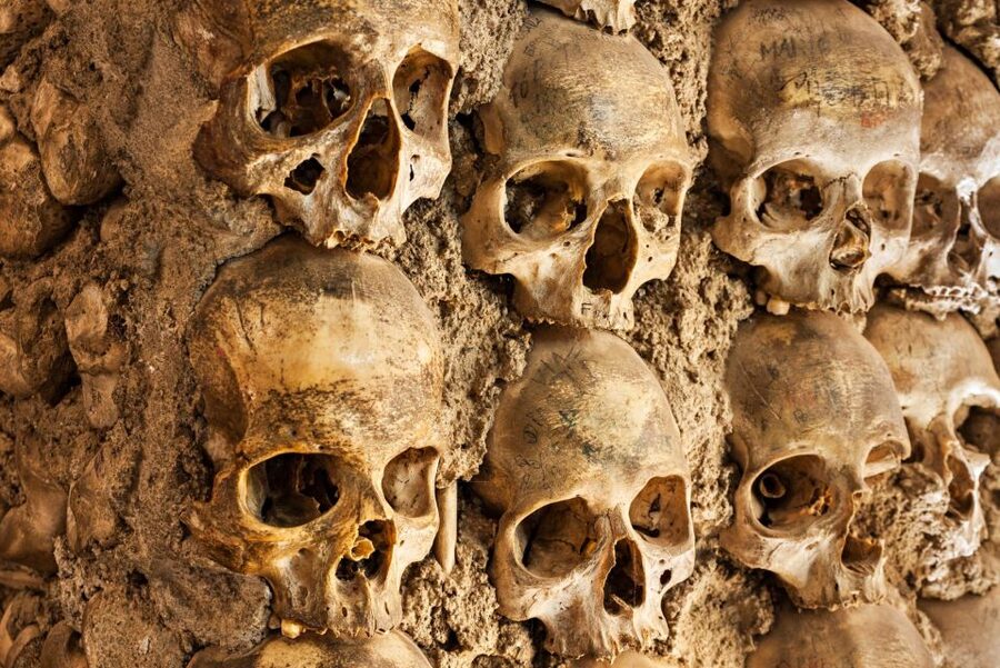 Paris: Catacombs Ticket and Seine River Cruise - Catacombs of Paris: what your timed ticket actually gives you