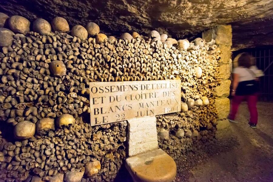 Paris: Catacombs Ticket and Seine River Cruise - Seine River cruise on Bateaux Parisiens: when the city mood flips