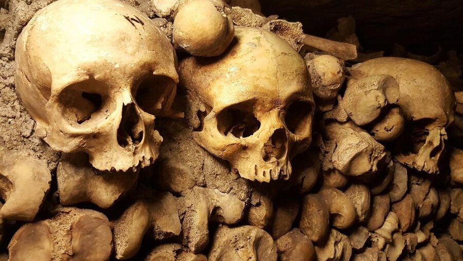 Paris: Catacombs Ticket and Seine River Cruise - Price and value: does $104 per person make sense?