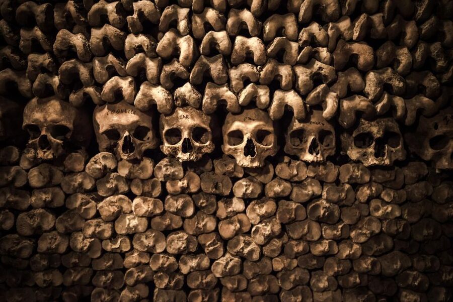 Paris: Catacombs Ticket and Seine River Cruise - Plan your day: timing ideas that fit the flow