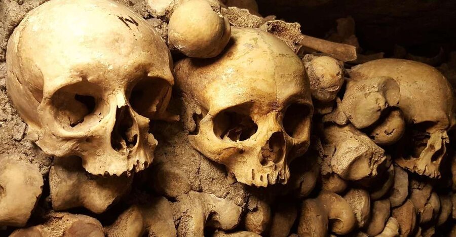 Paris: Catacombs Ticket and Seine River Cruise - Stairs, space, and comfort: the real physical checklist