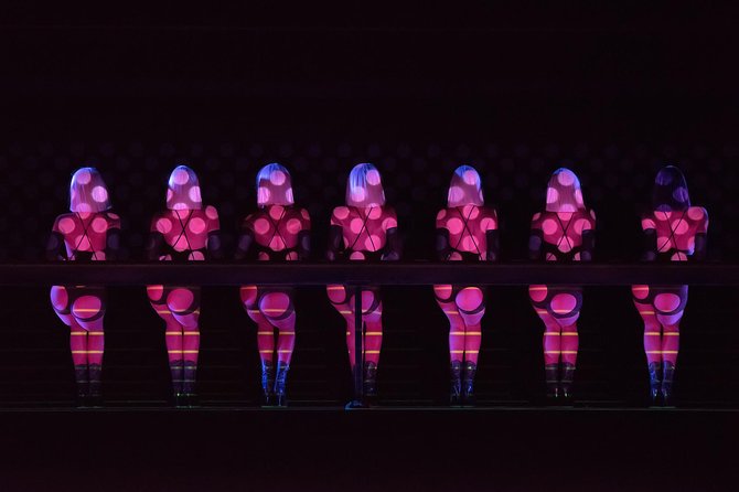 Paris Crazy Horse Cabaret Show Champagne & macarons - Price and value: is $235.32 worth it?