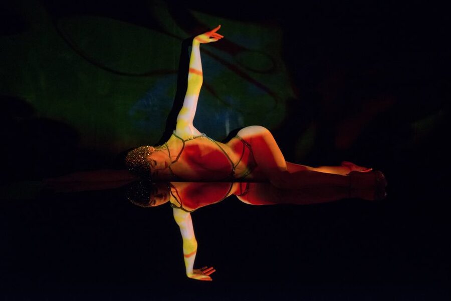 Paris: Dinner at Ginger Restaurant & Show at Crazy Horse - Champagne and drinks, what the package includes