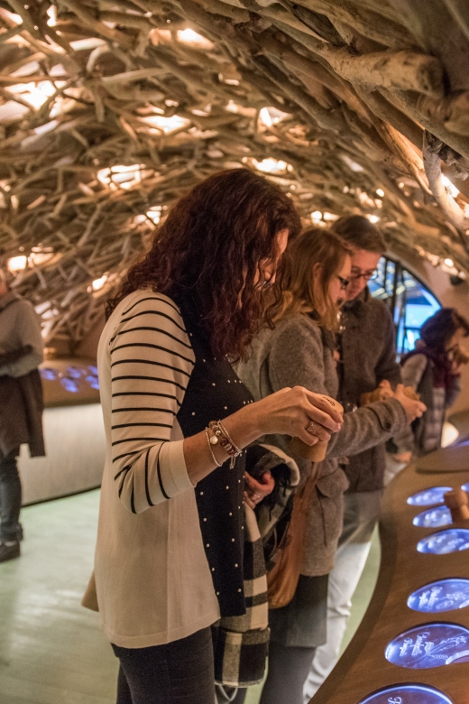 Paris: French Wine Experience in Parisian Cellar - Smartphone QR Audioguide in 8 Languages (and Free Wi-Fi)