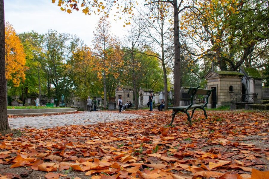 Paris: Full-Day Custom Tour with Local Guide - Arc de Triomphe to Montmartre: viewpoints plus real neighborhood feel