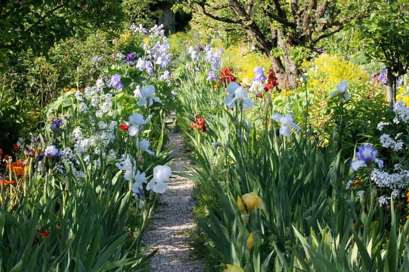 Paris: Giverny Gardens Day Trip with Professional Tour Guide - Key things to know before you go
