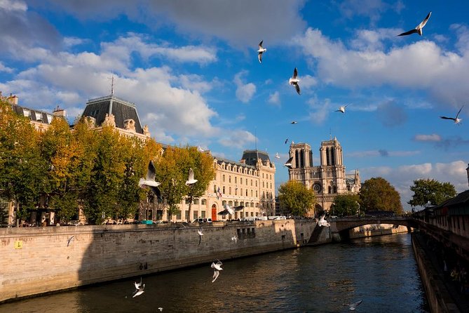 Paris Highlights Private Tour - All Paris in one day ! - Carrousel du Louvre and Tuileries Garden, the smoother route between monuments